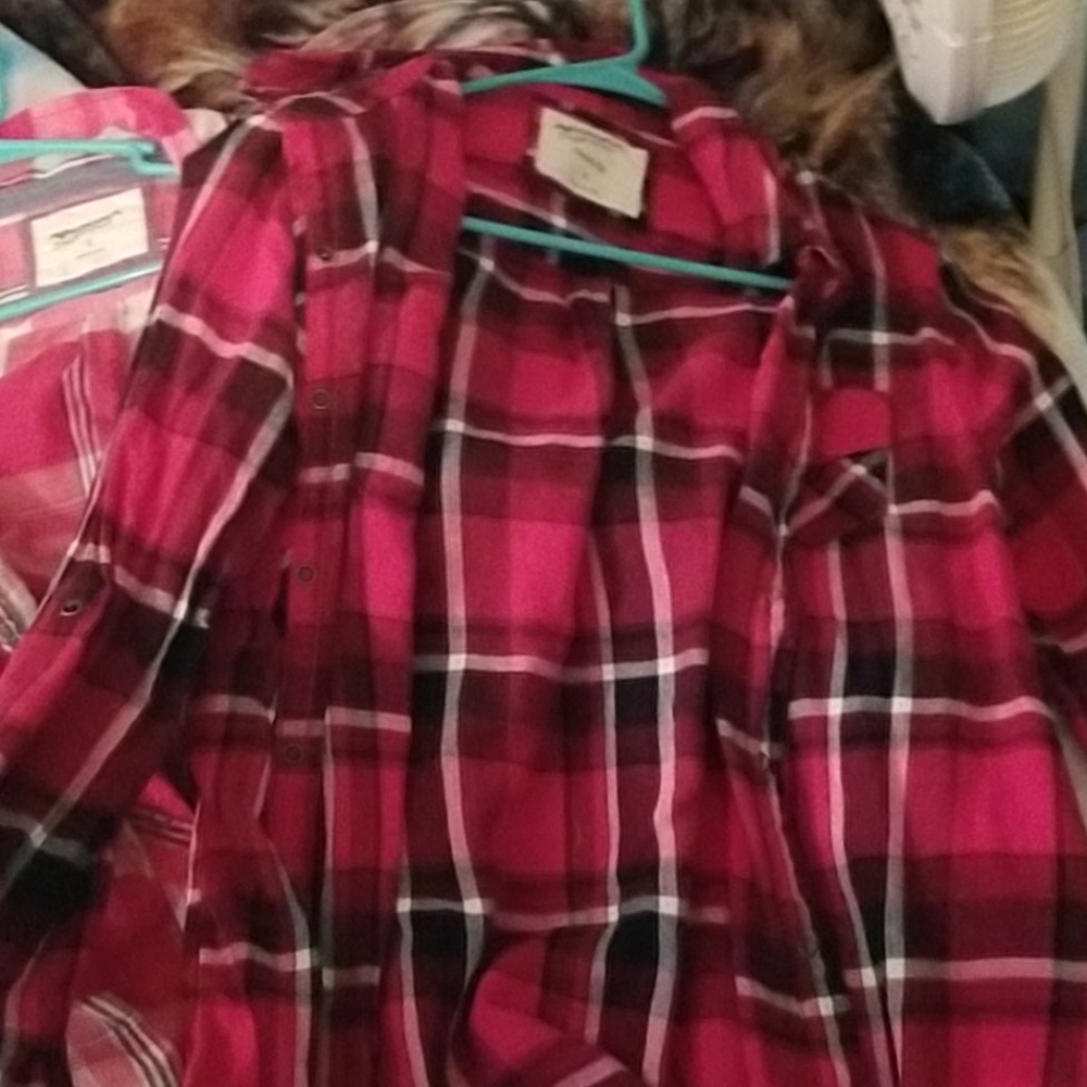 Button Up Flannels - image 2